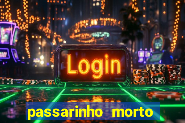 passarinho morto significado espiritual